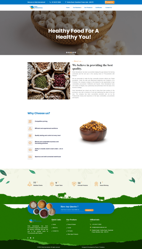 website portfolio